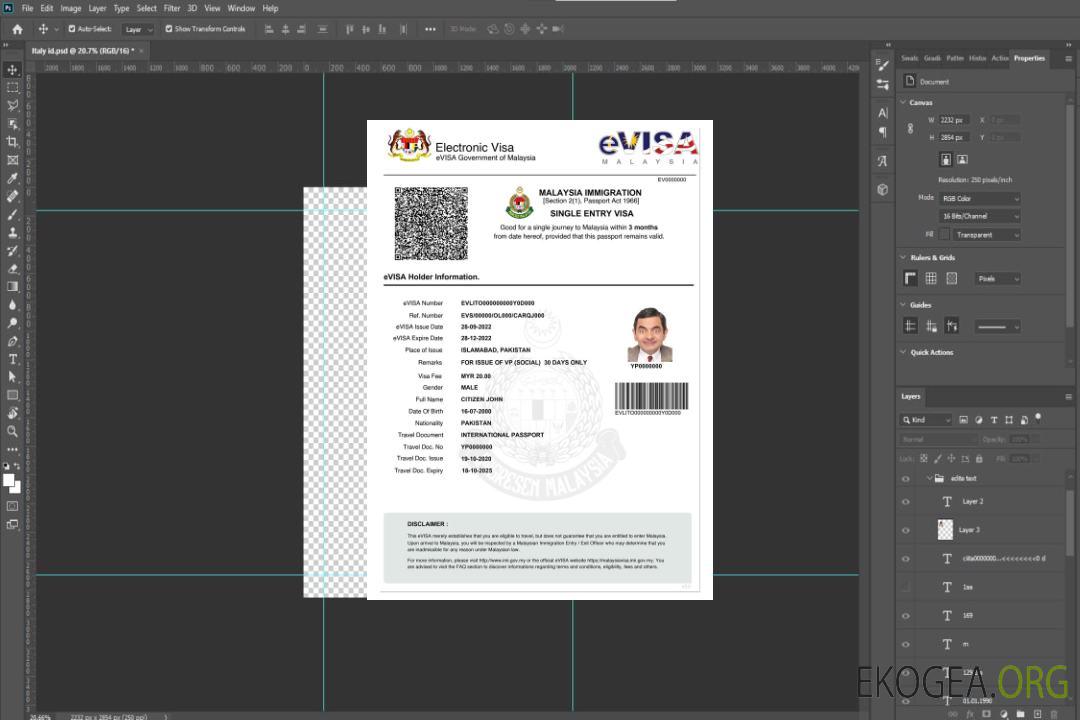 Visa électronique pour la MALAISIE template Visa électronique pour la MALAISIE template